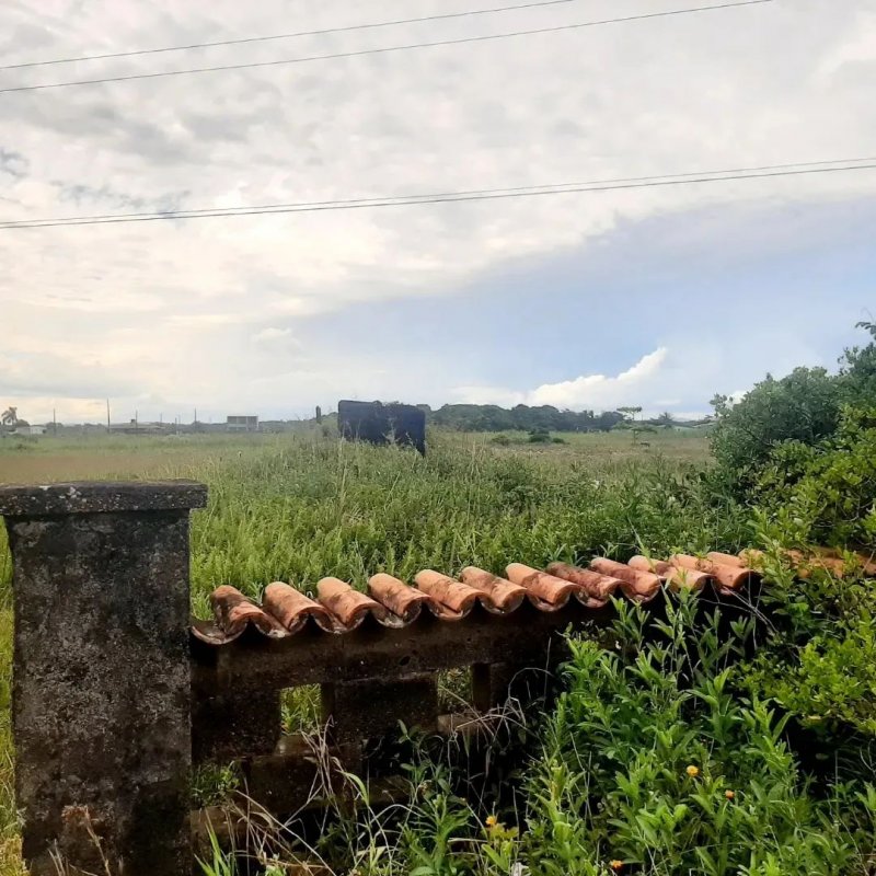 Terreno - Venda - Balnerio Sabauma - Ilha Comprida - SP